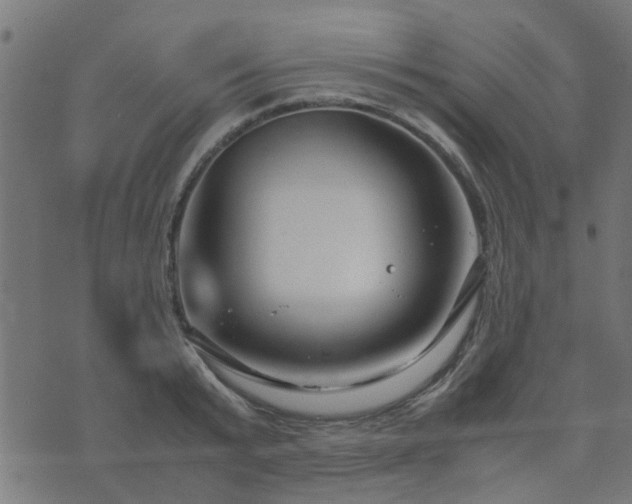 X0000071780799200606301219