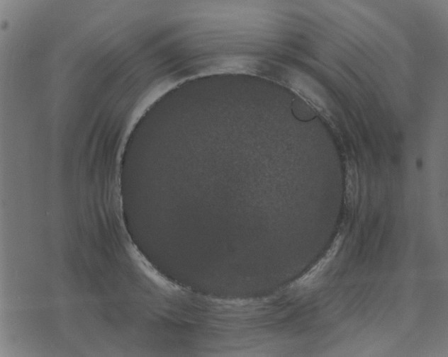 X0000071780800200606301219