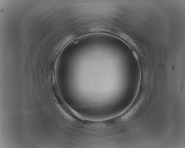 X0000071780801200606301219