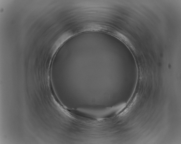 X0000071780802200606301219