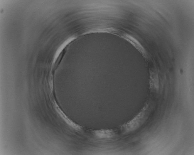 X0000071780804200606301219