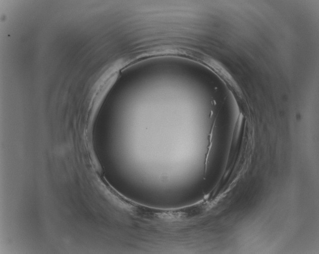 X0000071780805200606301219