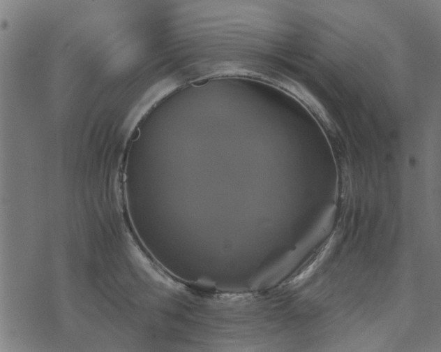 X0000071780806200606301219