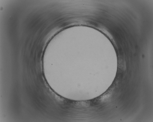 X0000071780807200606301219