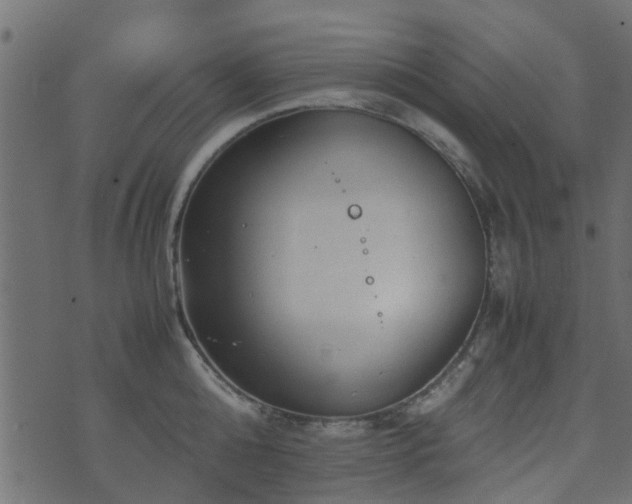 X0000071780808200606301219