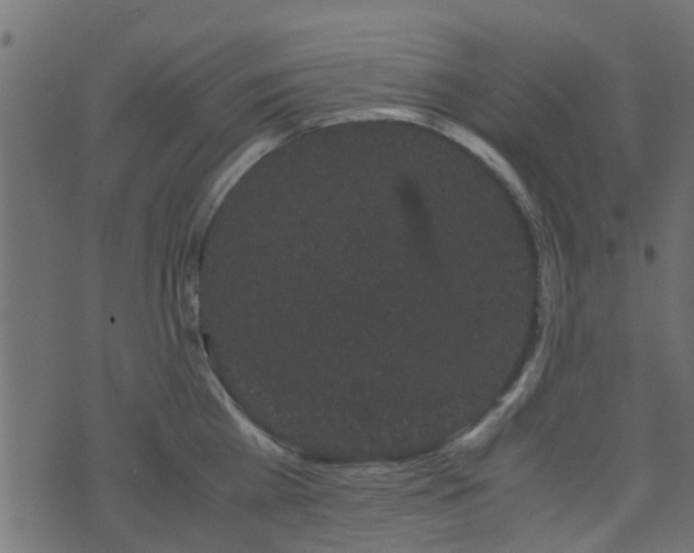 X0000071780809200606301219