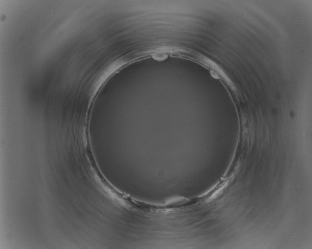 X0000071780810200606301219