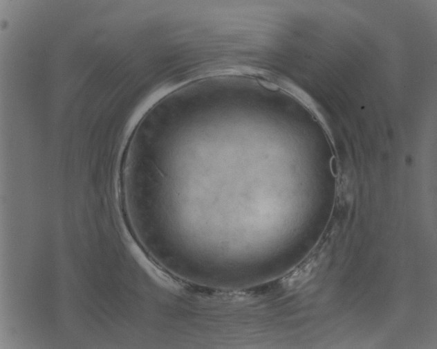 X0000071780811200606301218