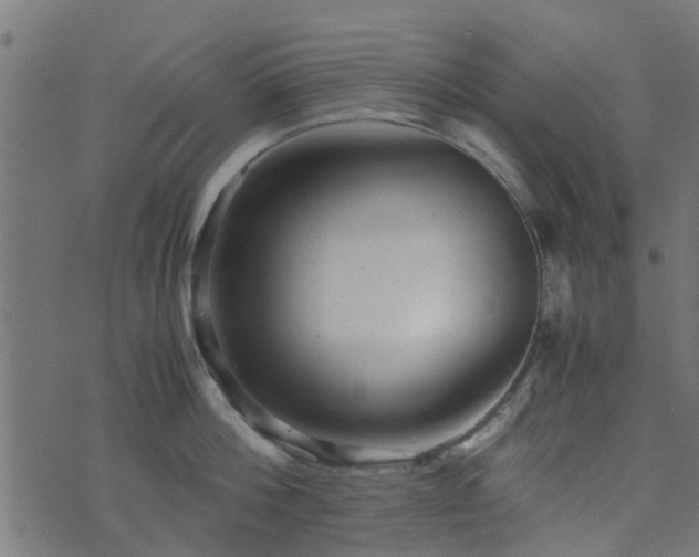 X0000071780812200606301218