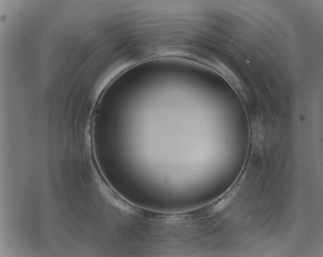 X0000071780814200606301218