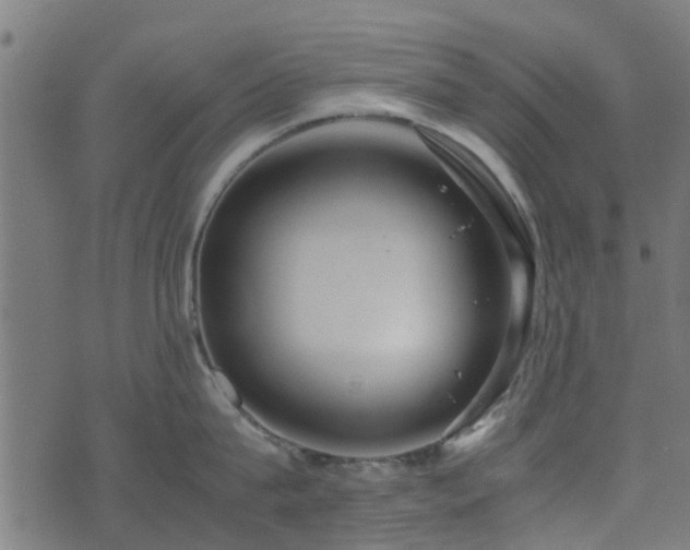 X0000071780815200606301218