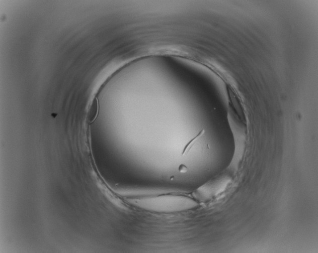 X0000071780816200606301218