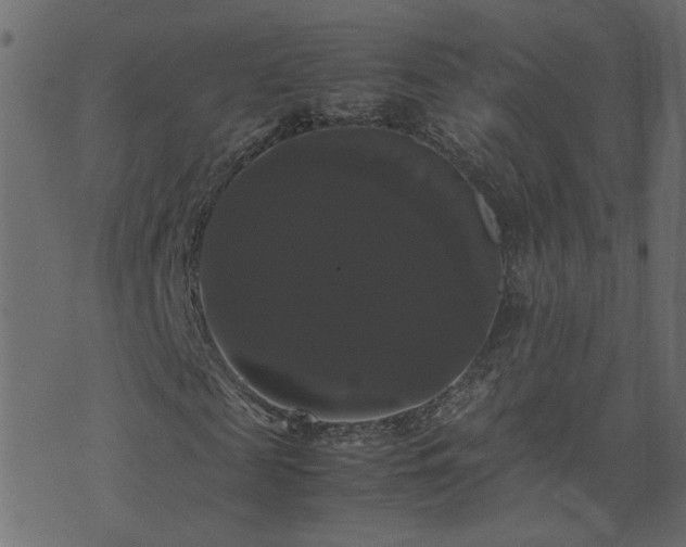 X0000071780817200606301218