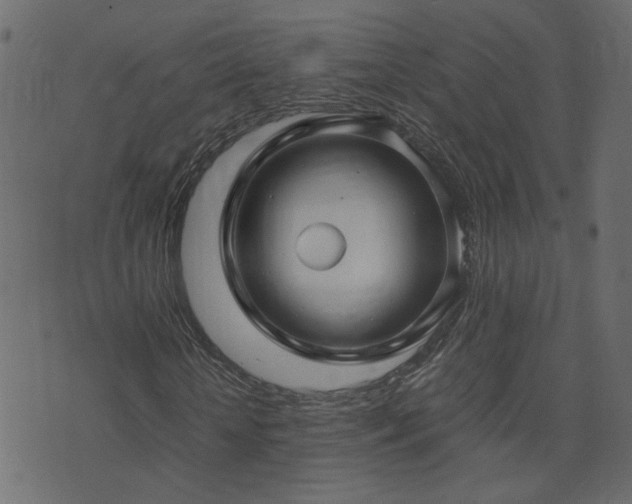 X0000071780818200606301218