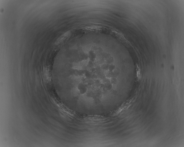 X0000071780819200606301218