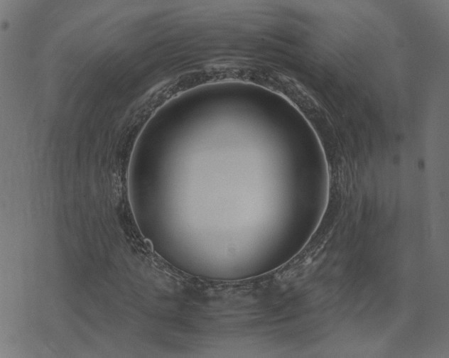 X0000071780821200606301218