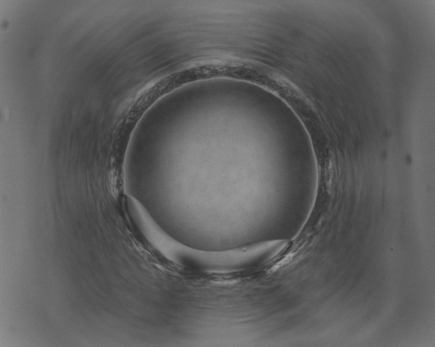 X0000071780822200606301218