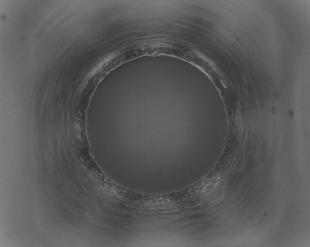 X0000071780823200606301218