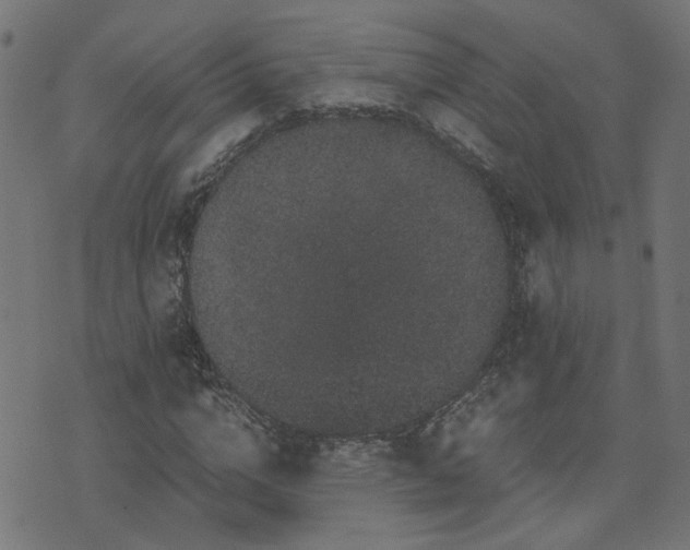 X0000071780824200606301218