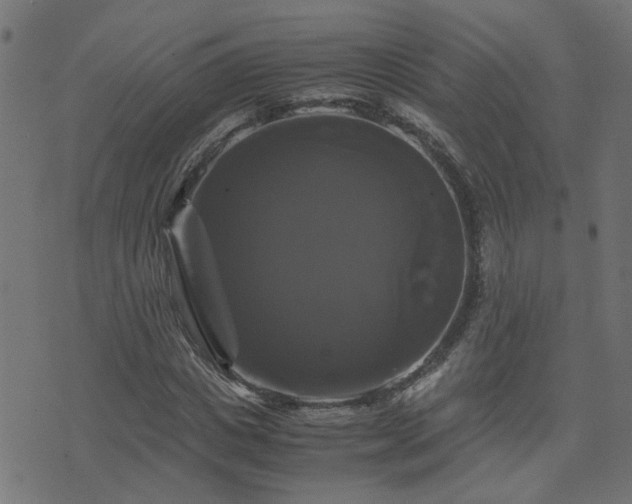 X0000071780825200606301218