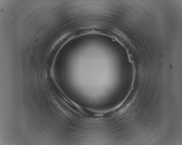 X0000071780826200606301218