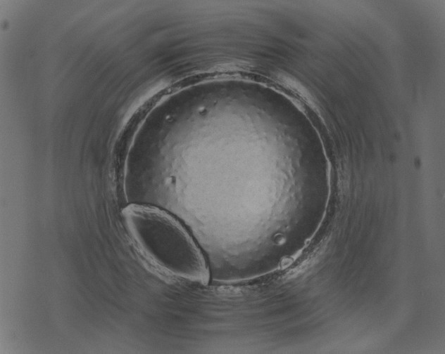 X0000071780827200606301218