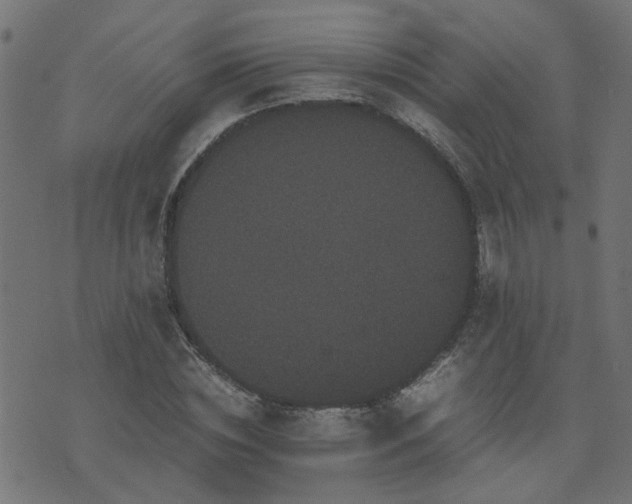 X0000071780828200606301218