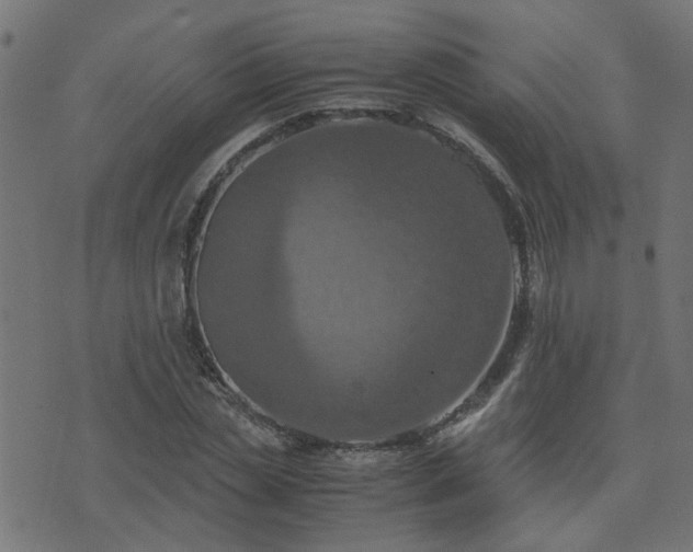 X0000071780829200606301218