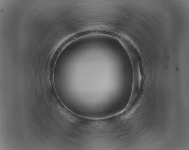 X0000071780830200606301218