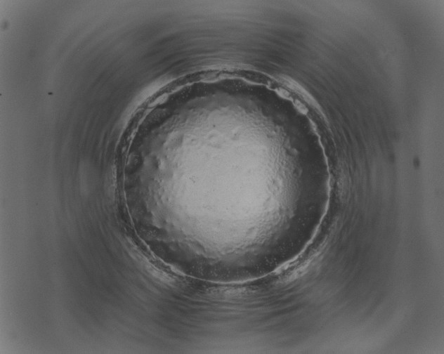 X0000071780831200606301218