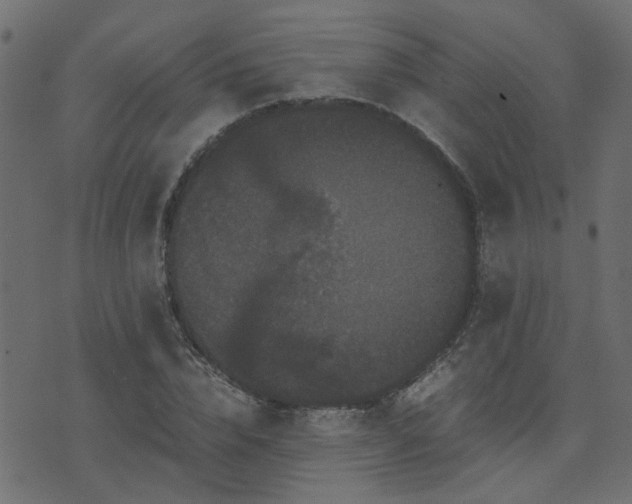 X0000071780832200606301218