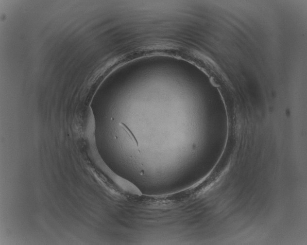 X0000071780833200606301218