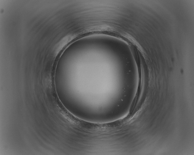 X0000071780834200606301218