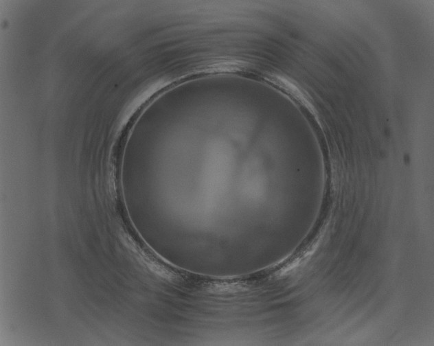 X0000071780835200606301218