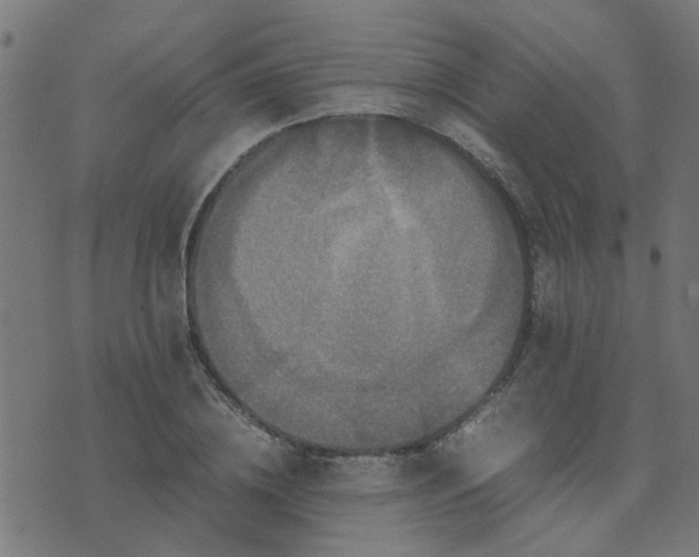 X0000071780836200606301218