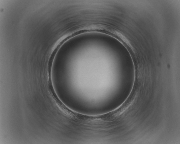 X0000071780837200606301218