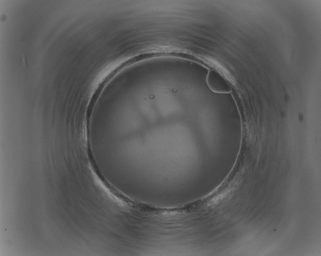 X0000071780839200606301218