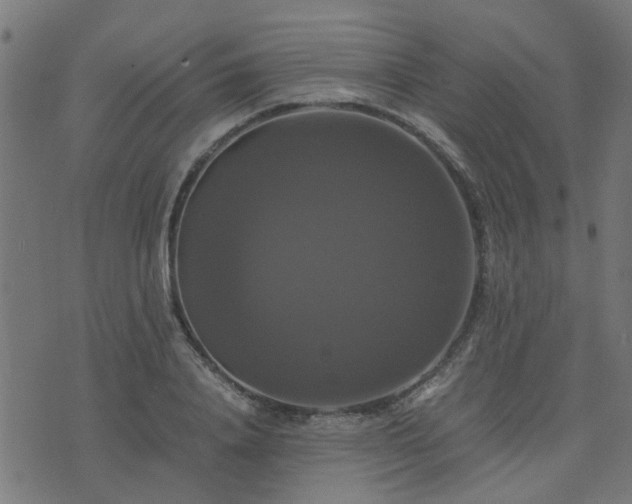 X0000071780840200606301218