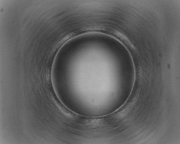 X0000071780841200606301218