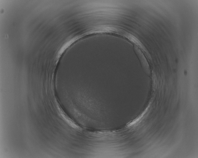 X0000071780842200606301218