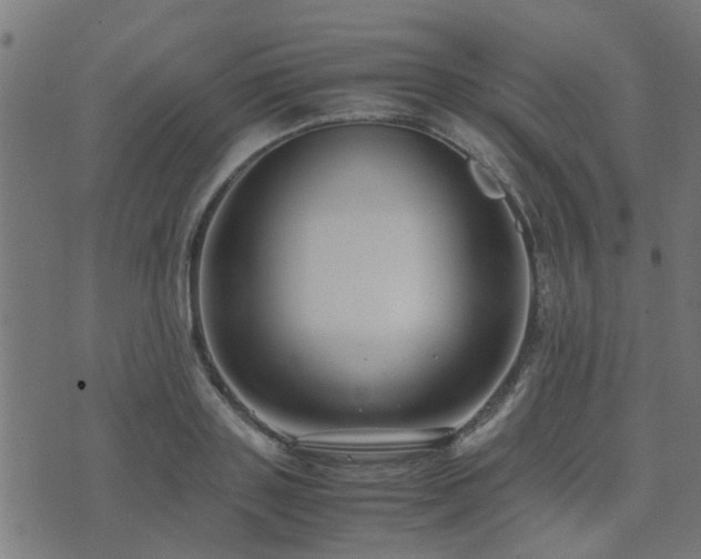 X0000071780843200606301218