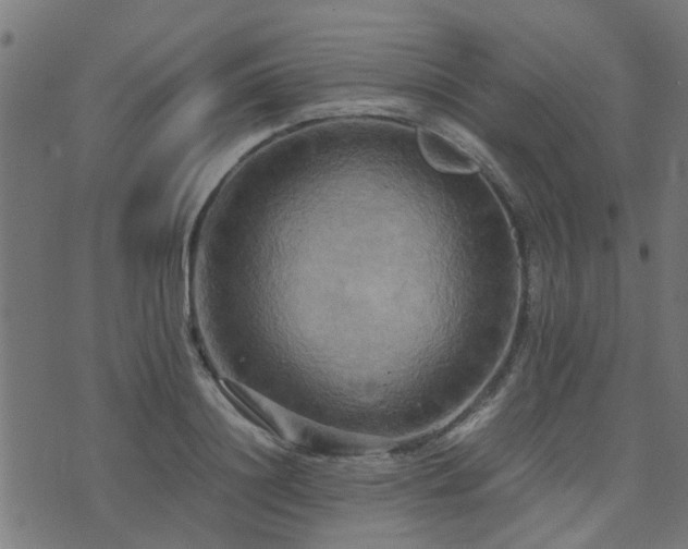 X0000071780844200606301218