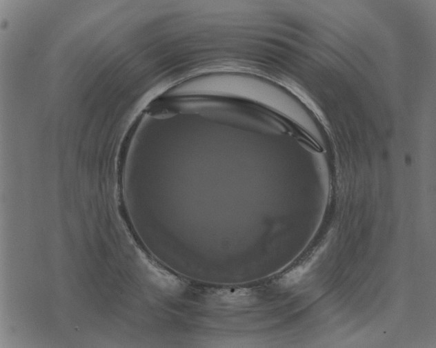 X0000071780845200606301218