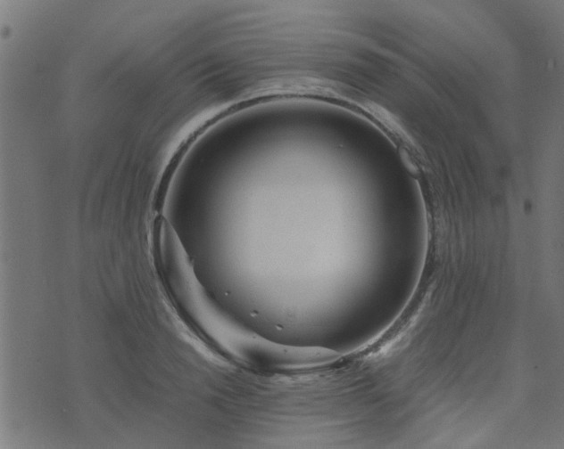 X0000071780846200606301218