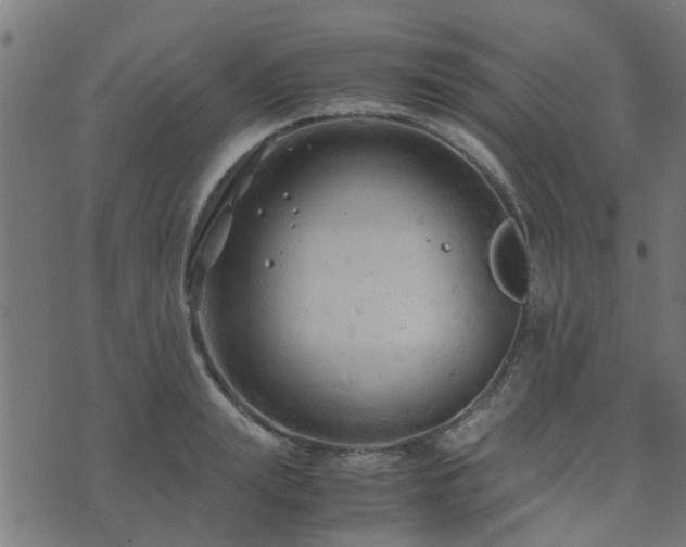 X0000071780847200606301218