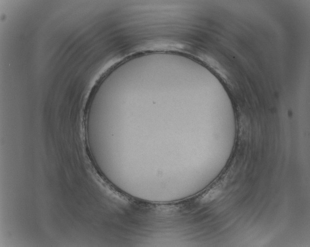 X0000071780848200606301218