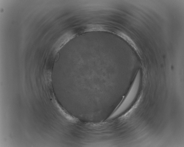 X0000071780849200606301218