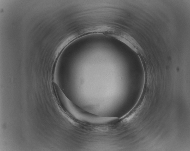 X0000071780850200606301218