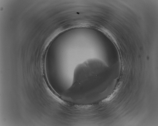 X0000071780851200606301218