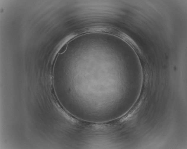 X0000071780852200606301218